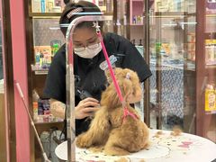 -美联众合爱康动物医院•复杂内科•肿瘤科•牙科•腔镜诊疗中心