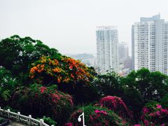 -鸿山公园