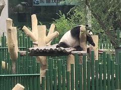 -沈阳森林动物园