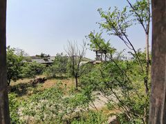 -关帝圣像景区
