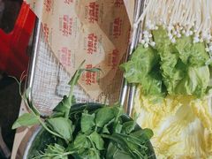 -沙胆彪炭炉牛杂煲(成都玉林店)