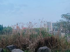 -美兰湖景区