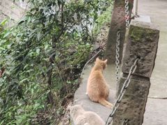 -青城山