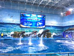 -多彩贵州城极地海洋世界