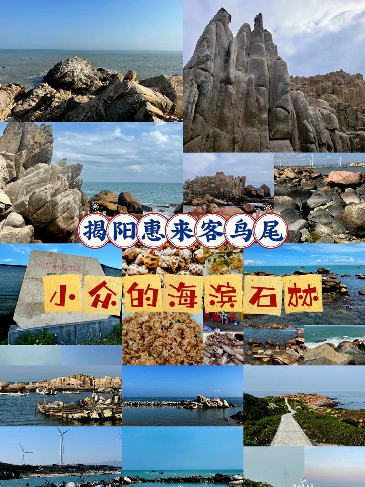 宝藏城市惠来,邂逅"小众"客鸟尾海滨石林奇观
