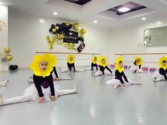 -西安小天鹅艺术团(金花路校区)