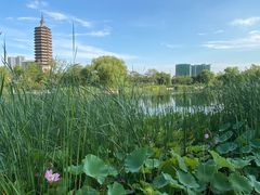 -西海子公园