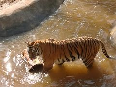 -昆明动物园