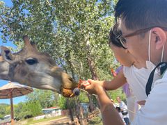 -大连森林动物园