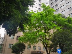 -重庆医科大学附属第一医院(本部)