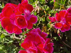 -崇圣寺三塔文化旅游区