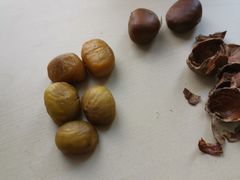 -阿男野栗王(金门路店)