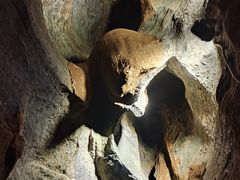 -八奇洞景区
