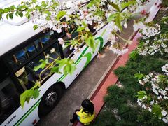 -上海南浦大桥长途旅游客运站