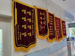 -中农国际动物医院24小时·猫科·骨科·急重症中心