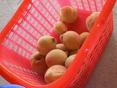 -雍景湾大酒楼(怡翠花园店)