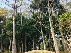 -深圳人才公园