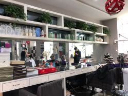 点击看大图 -傅军造型