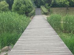-美兰湖景区