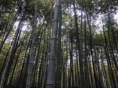 -陶祖圣境风景区