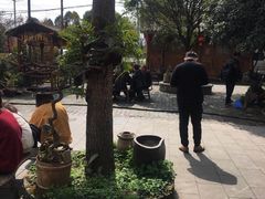 -青城甲(青城山店)