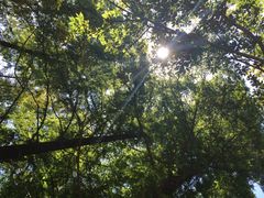八大关景区-八大关景区