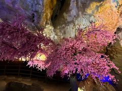 -九乡旅游区