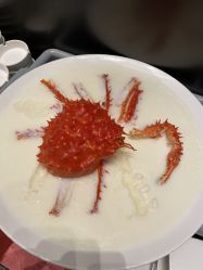 -成都首座万豪酒店·宴会厅