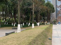 -重庆市江北嘴中央商务区中央公园