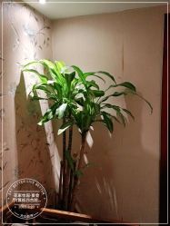 点击看大图 -花家怡园·宴会厅(簋街四合院总店)