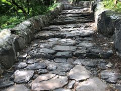 -阳台山自然风景区