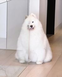 点击看大图 -Oasis Beauty水磨坊科技美肤中心