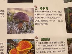 -太婆天府山珍酒楼(亚运村店)