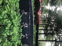 -文华公园(禅城区)