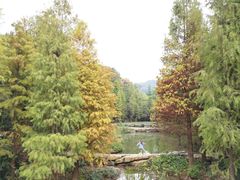 -云溪植物园