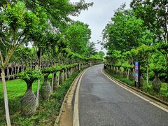 -武汉紫薇都市田园