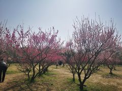 -蜀冈西峰生态公园