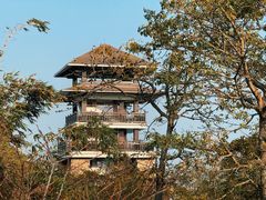 -大湾区中央湿地公园