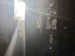 -斯多格书乡(北京大学畅春园店)