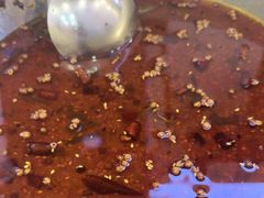 -胖子鱼·天水麻辣鱼火锅(秦州407店)