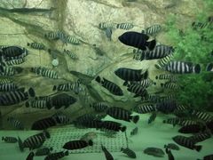 -泉城欧乐堡海洋极地世界