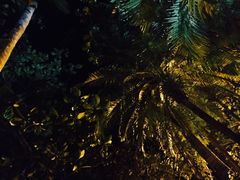 -三亚珠江南田温泉度假区