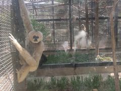 -石家庄市动物园