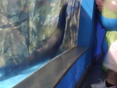 -常州海昌海洋探索馆
