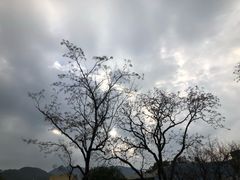 -华馨园北京烤鸭(丽水店)