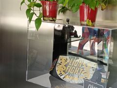 -花环泰拳·勒德斯拉泰拳馆(静安店)
