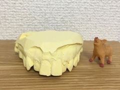 -极光口腔·矫正种植修复(锦江店)