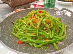 水芹-金狮麟·新豫菜(金码大厦店)