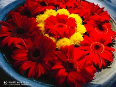 -四季酒店下午茶