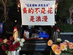 -星光岛